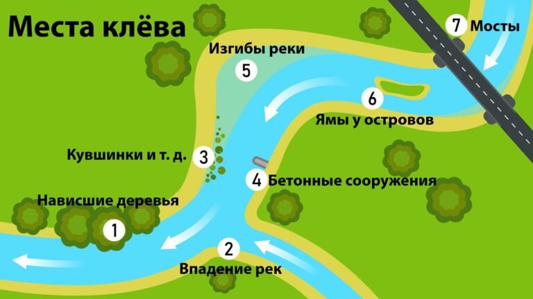 Фото с сайта: https://rybalka.online