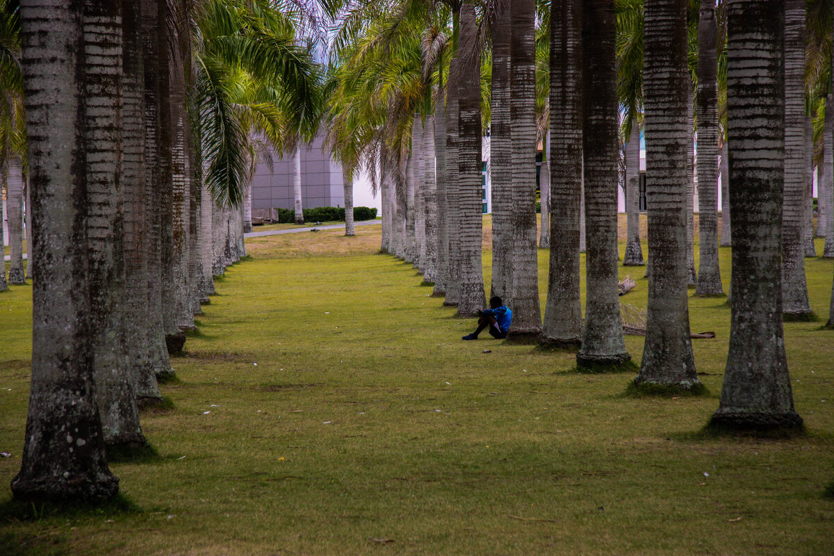 Собор окружают пальмовые аллеи и парк / фото из личного архива