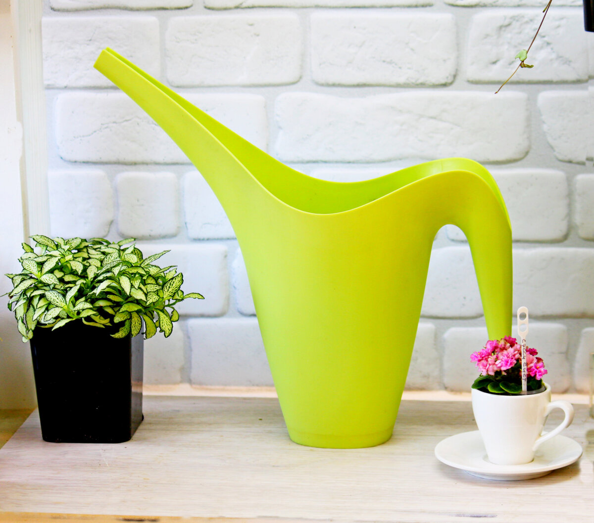 Лейка Фисташка. Икея. Фото автора.