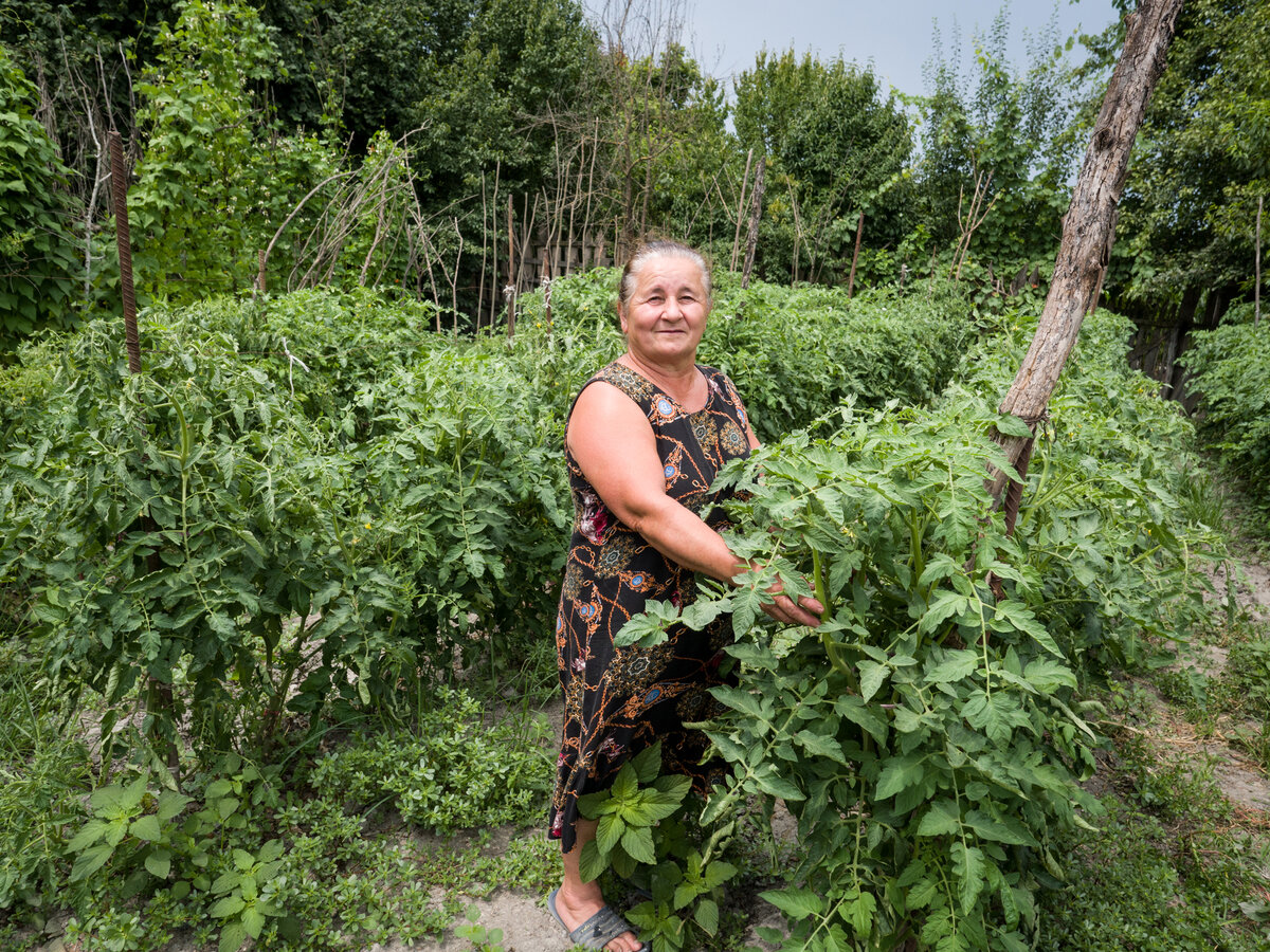 Slow Food: как азербайджанские фермеры спасают исчезающие виды продуктов |  Журнал 