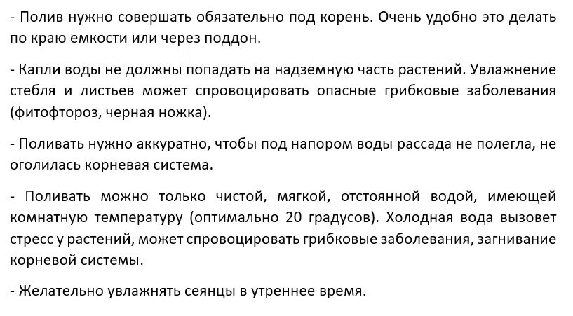 Правила полива рассады томатов