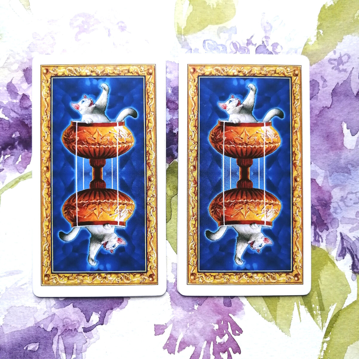 Личное фото автора.