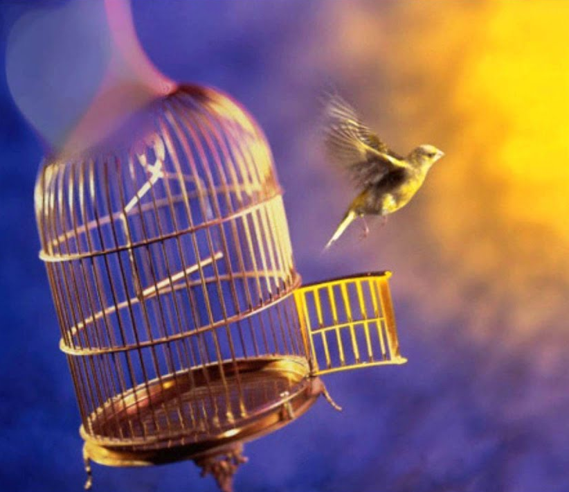 фото из интернета