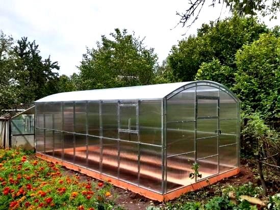 Наш выбор пал на теплицу прямостенную (фото найдено в интернете)