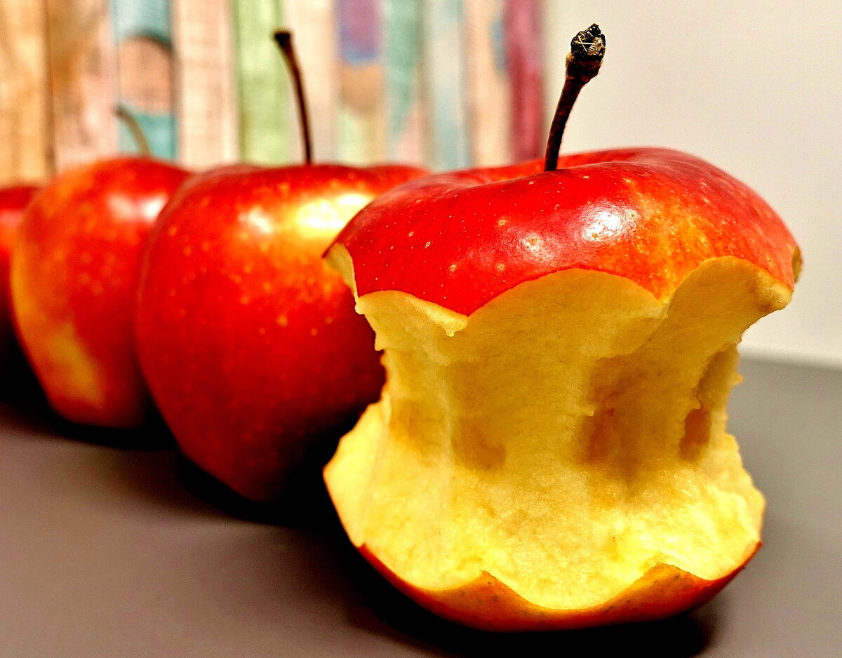 Ела вкусные яблоки. Канадские яблоки. Яблоко картинка для детей. Яблоко в члене. Яблоко картинка для детей рисунок.