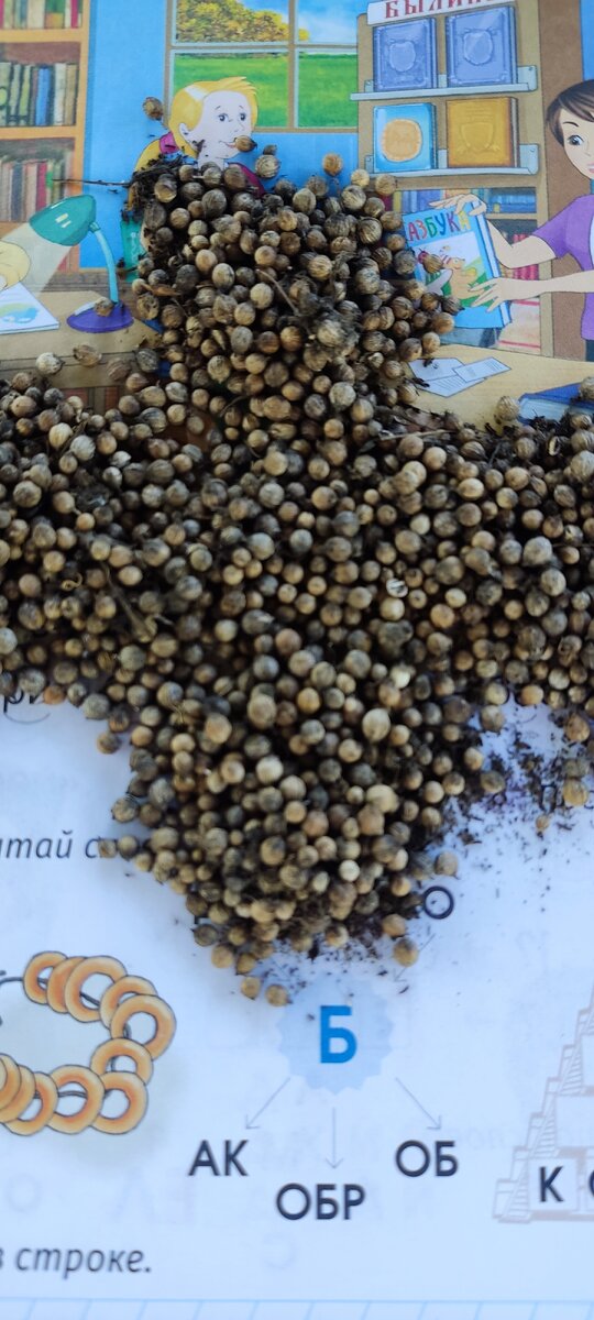 Приправа, которой посыпают Бородинский хлеб🍞