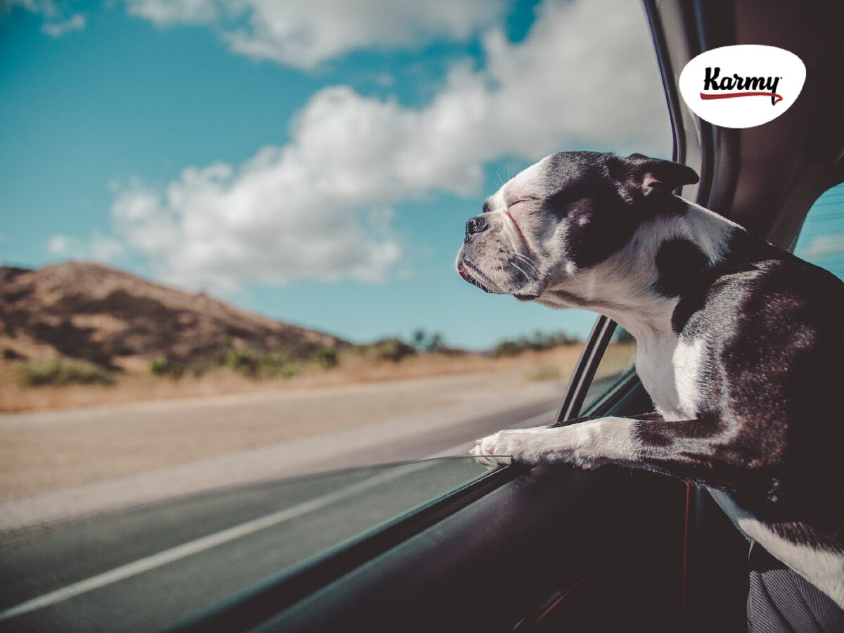 Авторское изображение с использованием картинки с фотостока "Unsplash"  