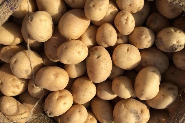    Как правильно готовить картофель?