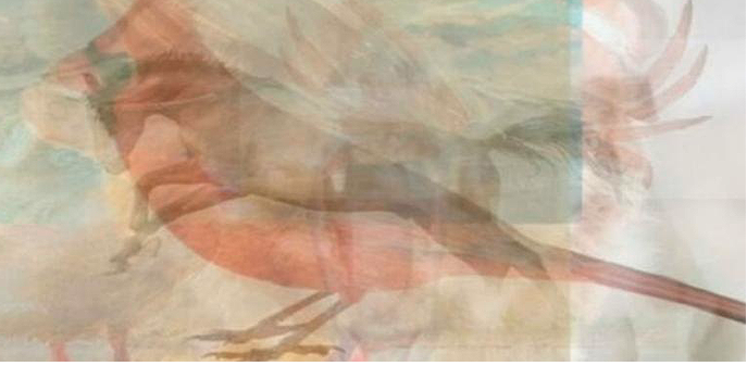 Фото из открытого источника Яндекс