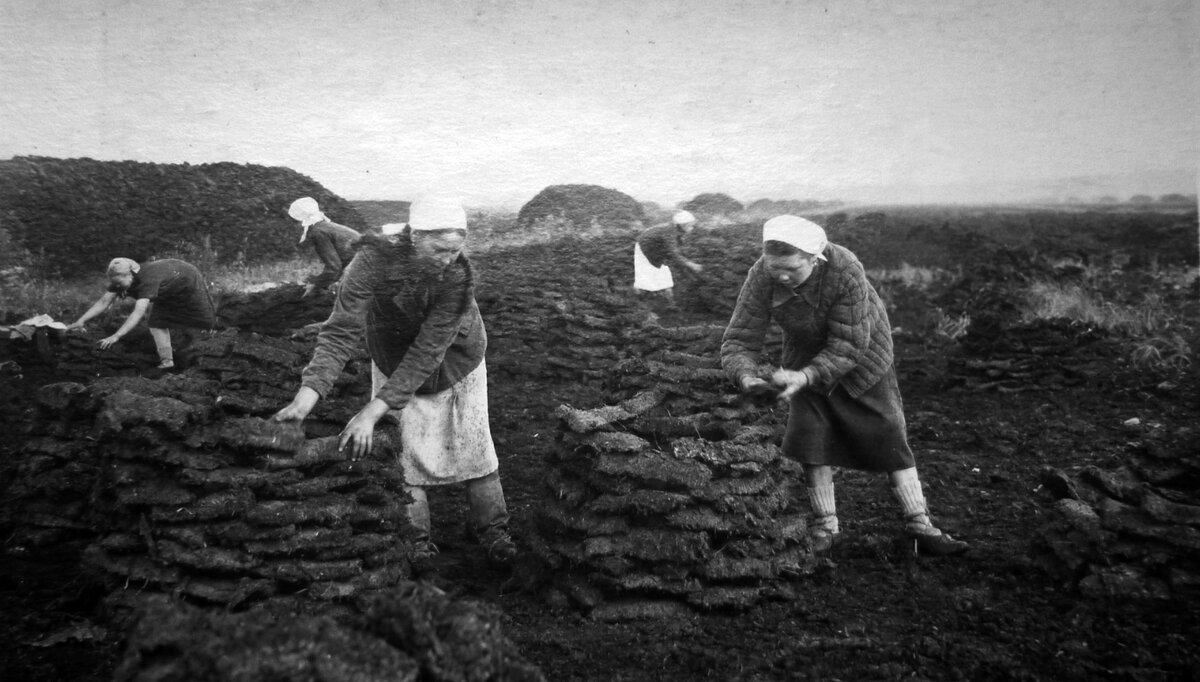 Звено Николаевой. Перекладка клеток торфа. Фото 1948 года