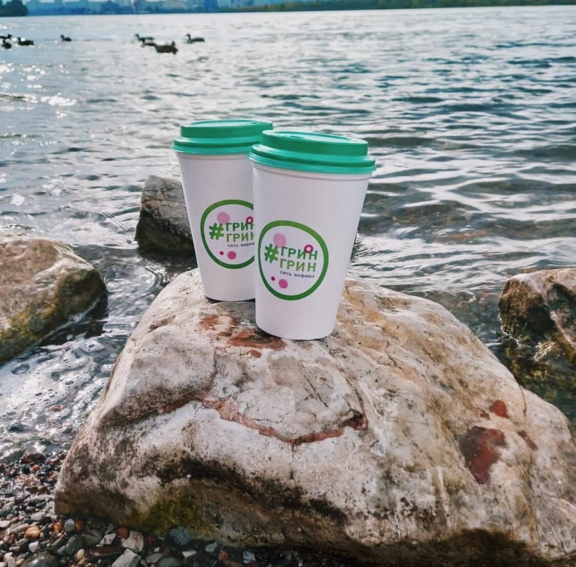 Фото из сообщества VK "GREEN GREEN - сеть кофеен"