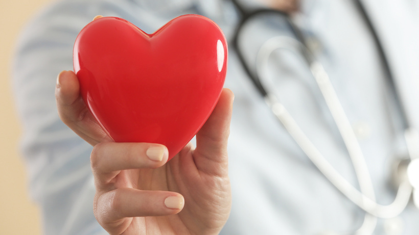    Сердце © Adobe Stock