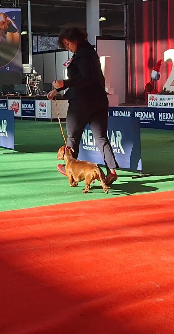 Работа в ринге.