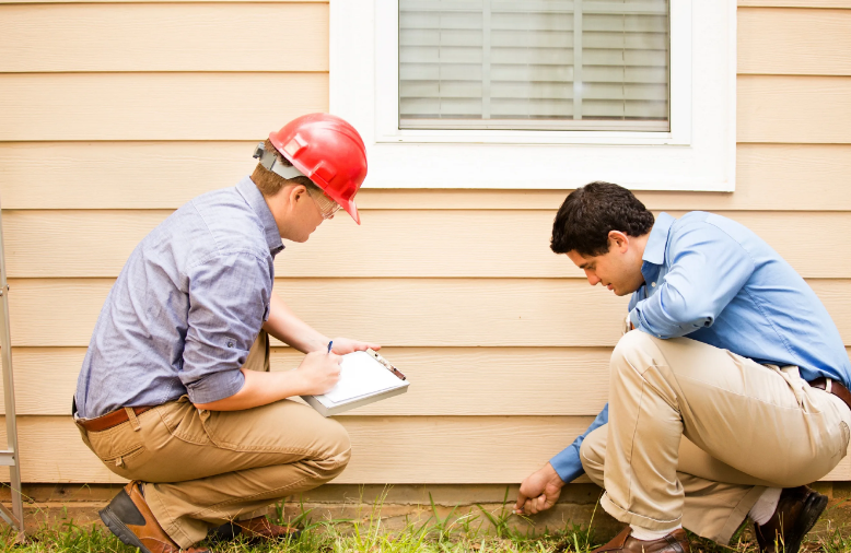 Фотография взята из источника yandex.ru