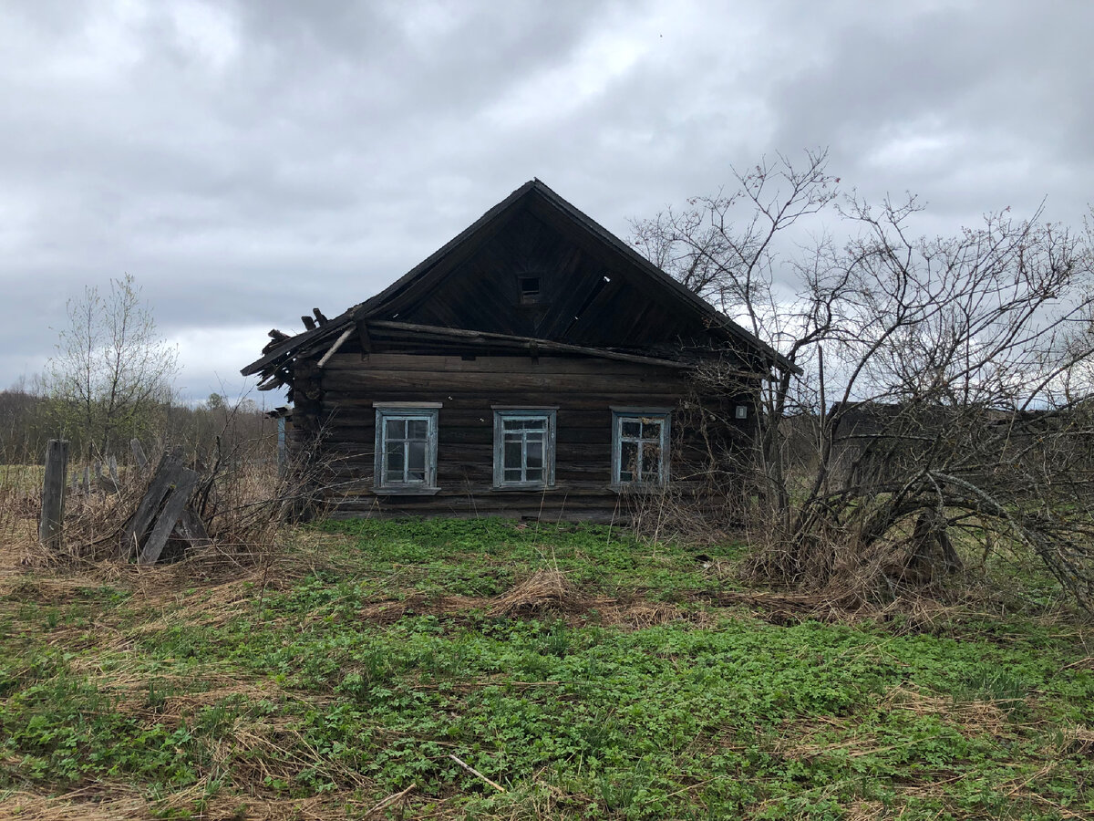 Типичный дом в деревне: заброшен, никому не нужен, почти сравнялся с землей  | Тверская - вот она какая | Дзен