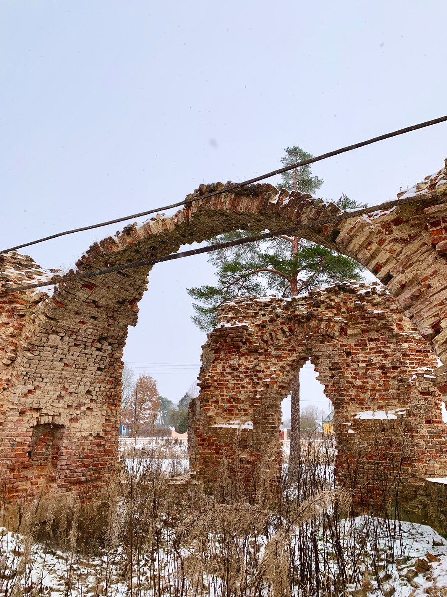 Клопицы волосовский