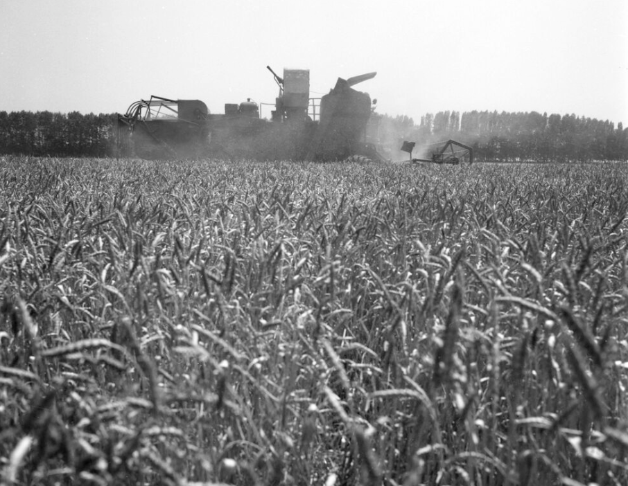 Фото В. Первенцева / РИА Новости