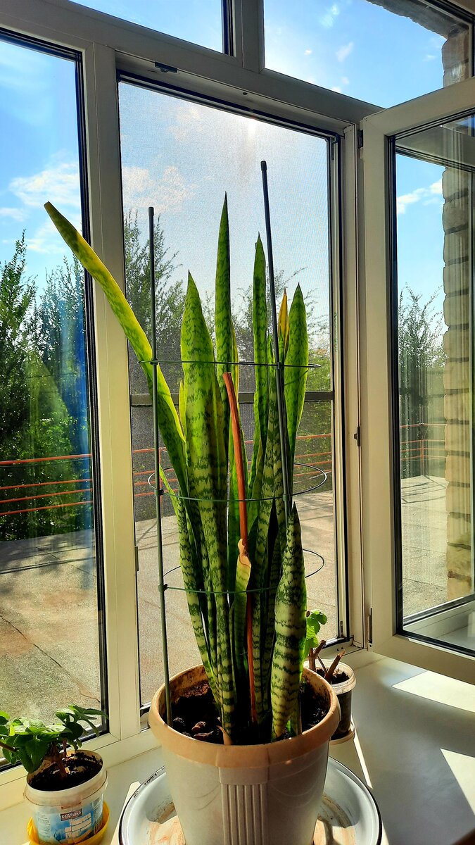В больнице мало красивого, конечно, но если присмотреться - можно увидеть) 