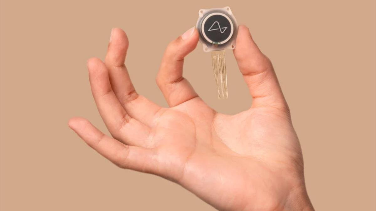 Источник : neuralink.com