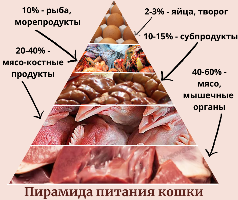 Страшнее мяса пищи нет?