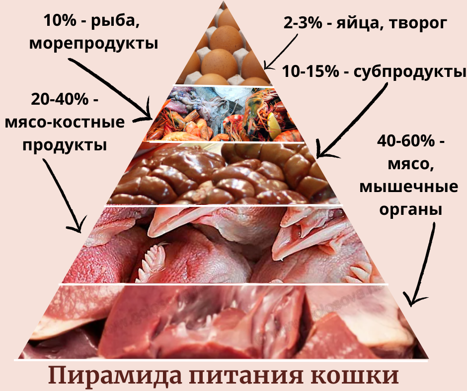 / Tochka-online: закупки у поставщиков Дальнего Востока и Сибири