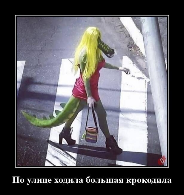 Картинка взята из Интернета в качестве иллюстрации