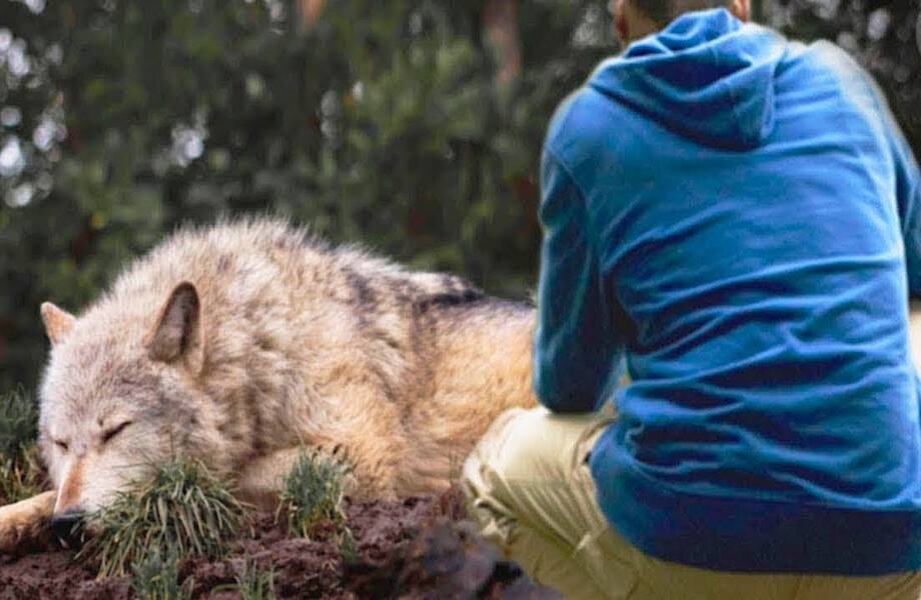 Спустя 4 года они встретились вновь