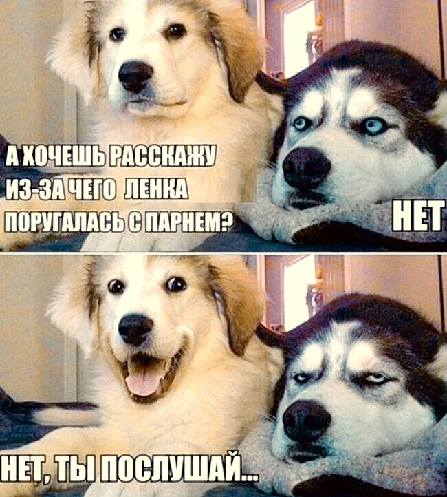 Фото из интернета в обработке автора. 