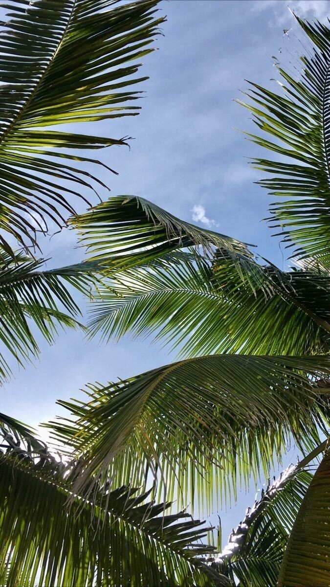 о. Бали, Индонезия