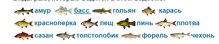 Это малая часть, что есть в озере