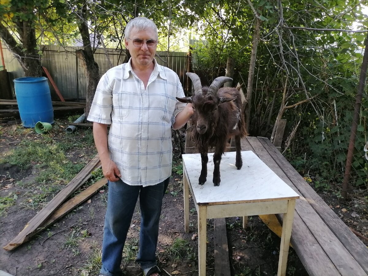 Жизнь женщины - зоопарк: осел, козел и зайчик | Татьяна Дивергент -  рассказы | Дзен