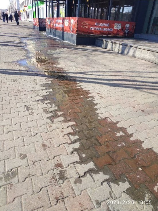     Оттепель / Ольга Кива