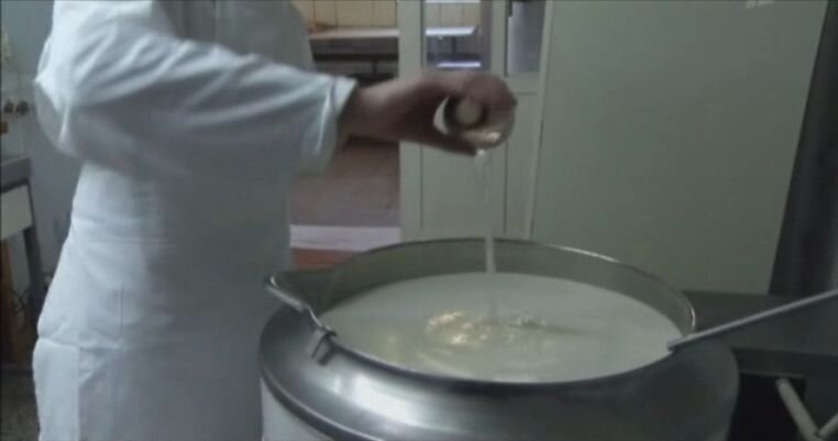 Внесение сычужного фермента