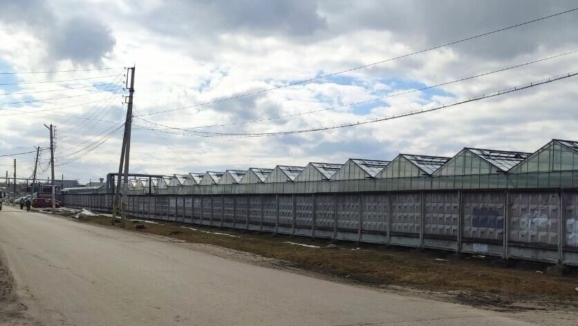     ОАО Агрокомбинат «Горьковский» попался на незаконном сбросе сточных вод в Канавинском районе. Межрегиональное управление Росприроднадзора по Нижегородской области и Республике Мордовия уже приняло меры, сообщили в ведомстве.