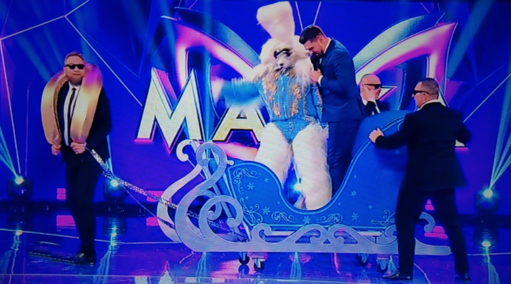 Пудель. Скриншот с экрана телевизора