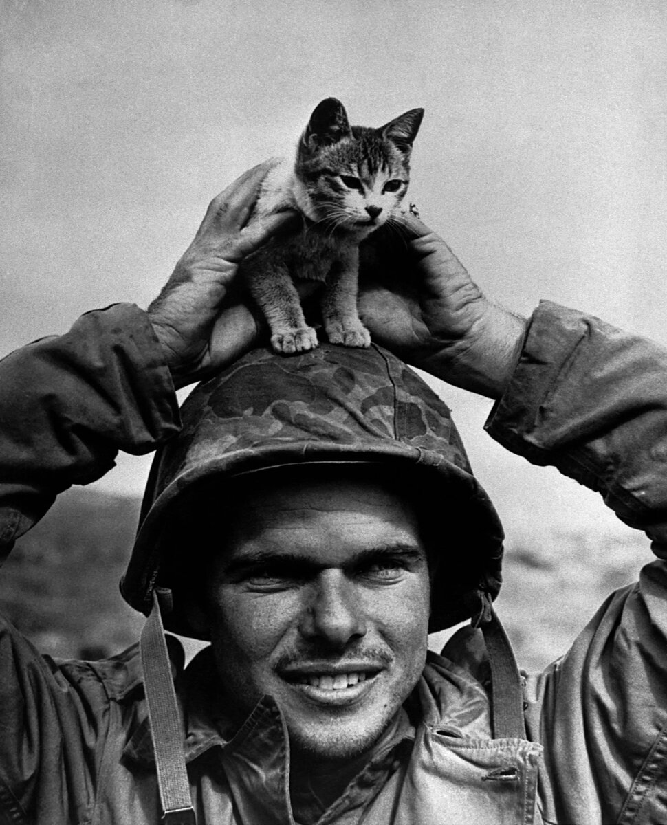 Фото: Getty Images