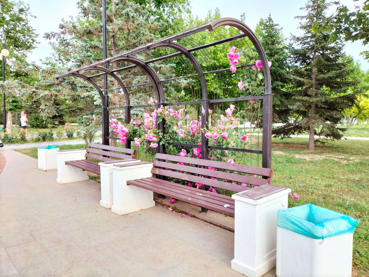 Это ещё целые скамейки, Видно удалил нечаянно фото тех, которые растрескались.