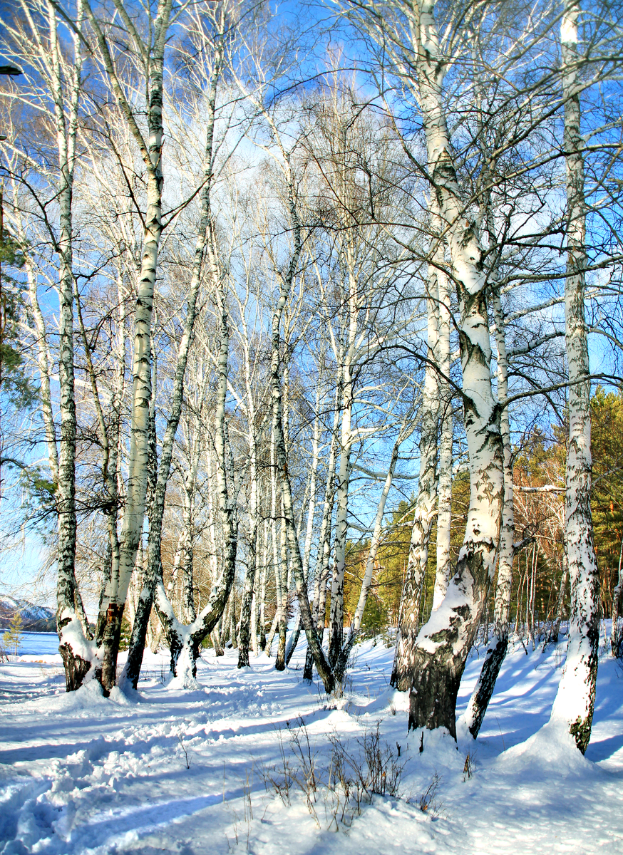 Фотография, стихотворение Василия Глуцкого