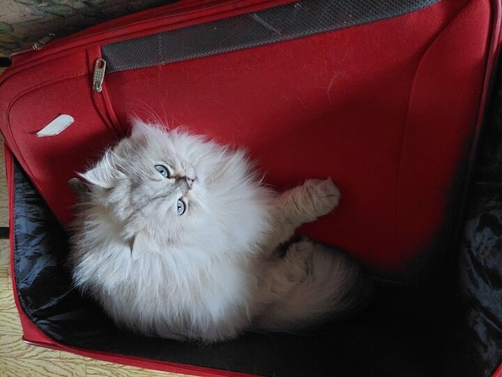     Марти. Фото: МК Ямал