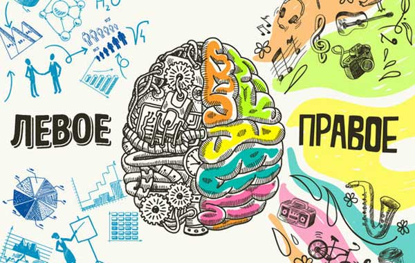 Чем мозг мужчины отличается от мозга женщины или почему в IT столько