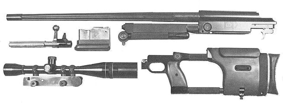 Для начала 80-х годов ХХ века концепция винтовки RAI 300, разработанной фирмой Research Armament Industries в комплексе с патроном .338-416, была весьма необычно. При этом 40 лет назад винтовка обеспечивала кучность стрельбы до 0,5 МОА