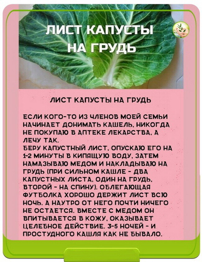 Лактостаз у кормящей матери фото. Капуста при мастопатии. Мастопатия капустный лист. Народные средства при лактостазе. Какой стороной прикладывать капустный лист.