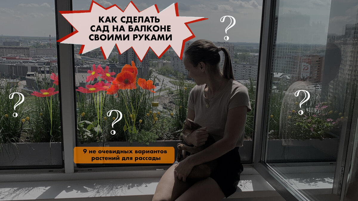 Огород на балконе: как сделать, когда и что посадить?