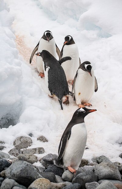 Фото взято из сети интернет