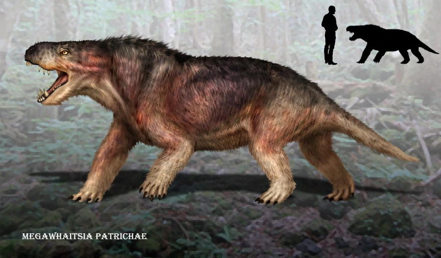 Megawhaitsia patrichae. Рубеджия горгонопс. Пермский период горгонопс. Мегавайтсия ядовитый медведеящер.