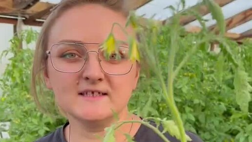 Семена Алтая. Дачные советы от Виктории Карелиной | ПЛОДЫ до 1,5 КГ ...