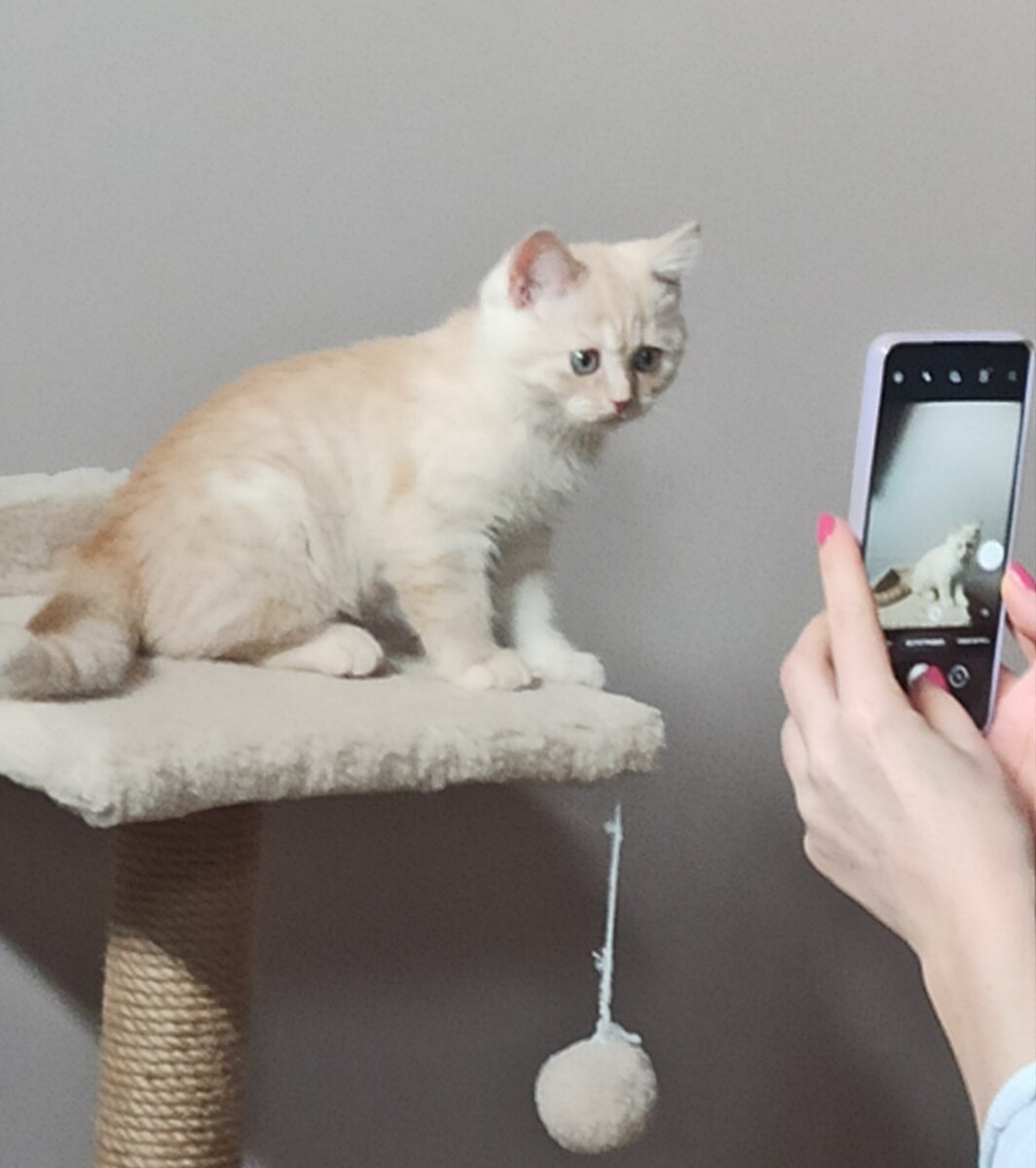 Фотосессия