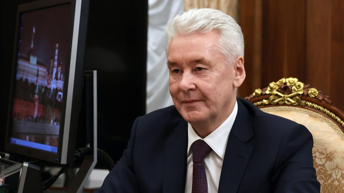     Мэр Москвы Сергей Собянин во время встречи с президентом РФ Владимиром Путиным© РИА Новости / Михаил Климентьев