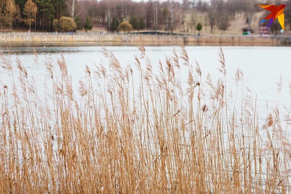     День Ярилы с овсянкой отмечают 3 марта - собрали приметы и запреты. Юлия Хвощ