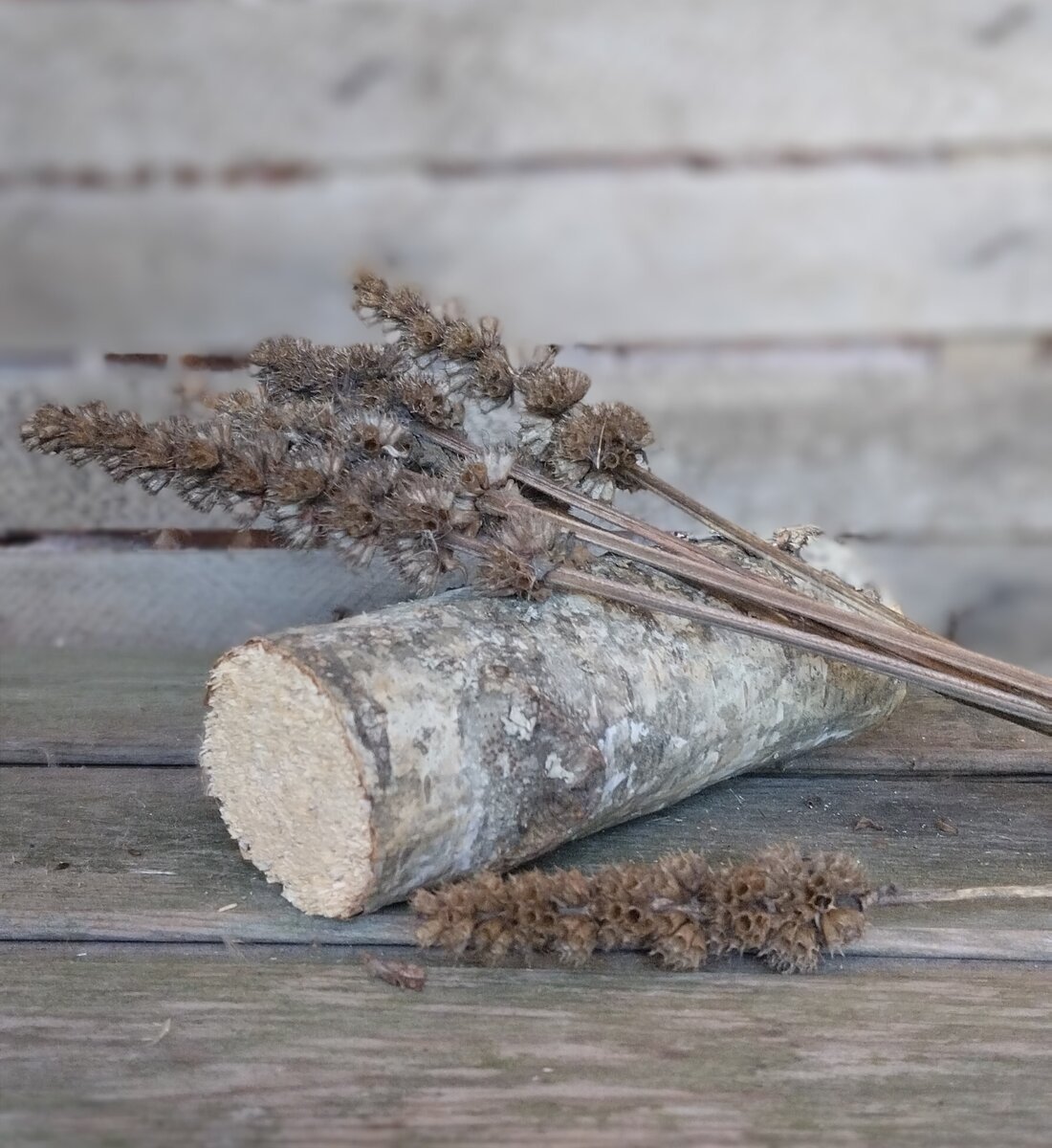 Берёза вот. Скоро сделаю из этого кусочка зайца. 